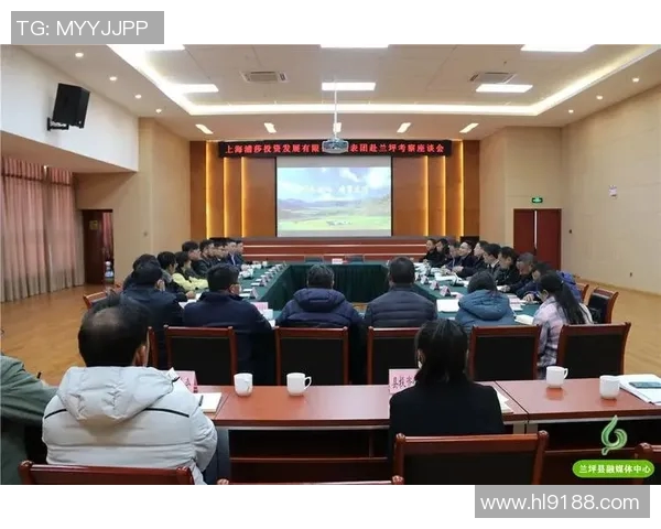 上海飞盘队比赛经验深度对比与分析探讨