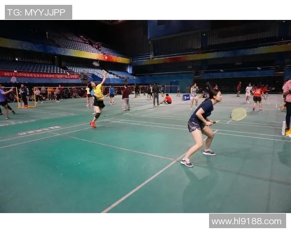 北京羽毛球队总决赛表现分析与状态评估全景回顾