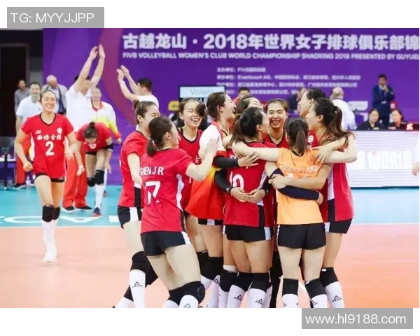 南京排球队逆袭之旅揭秘杯赛背后的奋斗与荣耀